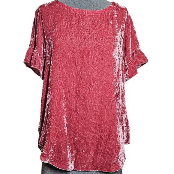 Loft Velvet Short Sleeve Blouse Size Small - Picture 1 of 4